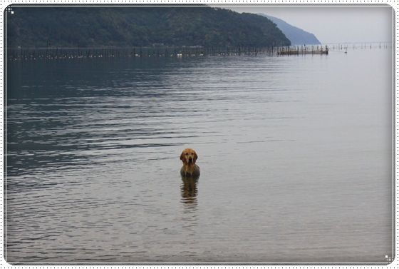 2012,6,3琵琶湖３