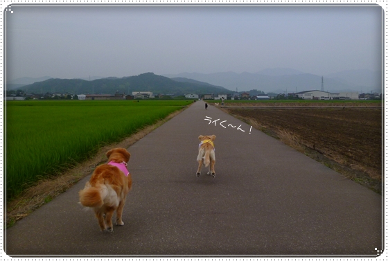 2012,7,12お散歩6