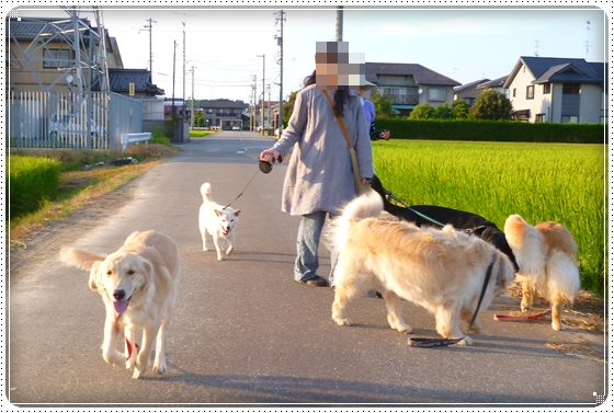 2012,8,9お散歩6