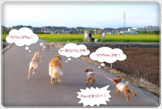 2012,8,14お散歩３