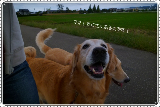 2012,10,1お散歩2