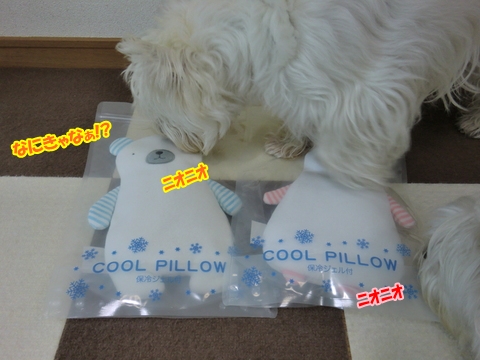 pillow1