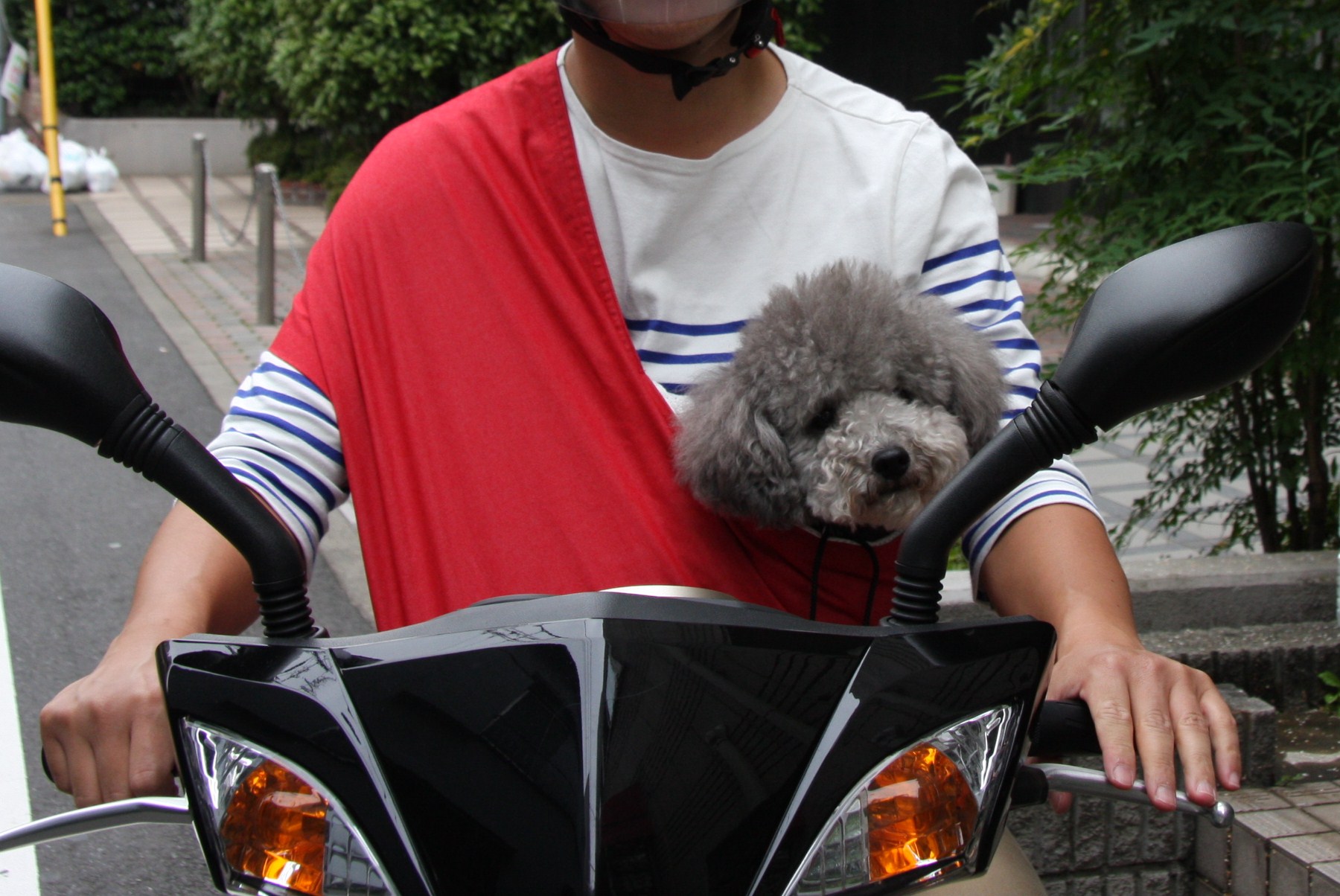 イクメン イヌメン 犬とバイク