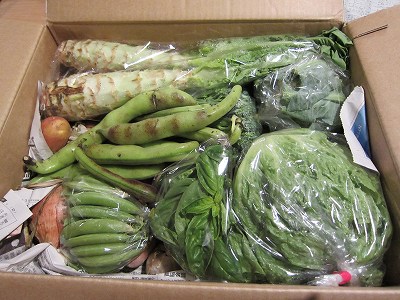 野菜の宅配 (2)
