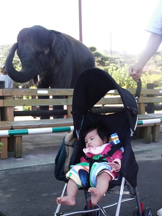 2012.09.25動物園へ6