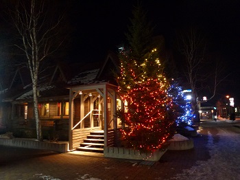 クリスマスツリー　ライトアップ