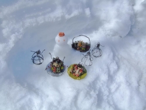 ビニールハウスから落ちた大雪残雪がいっぱい～こっそり多肉人形のパーティーちゅう♪一緒に遊んじゃいました（＾◇＾）2014.02.16